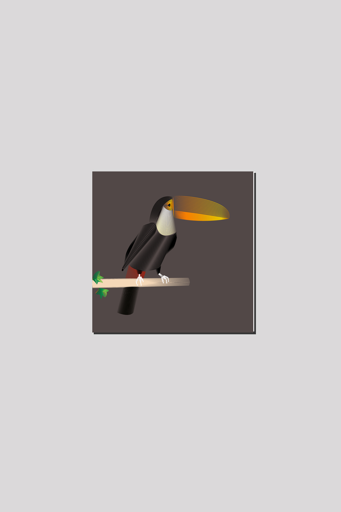Feather Friends - Toucan