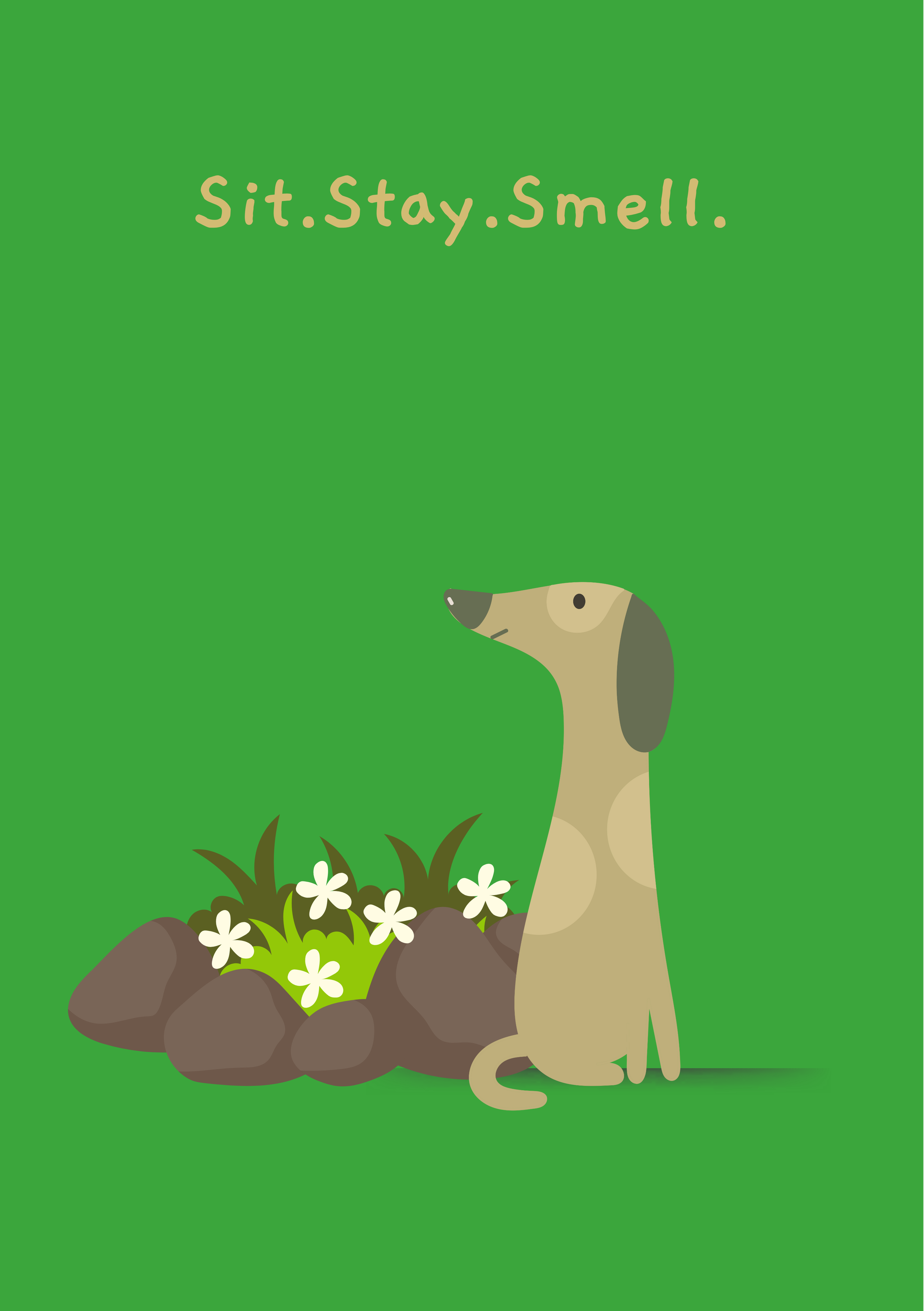 Woof Wonders - Image 13